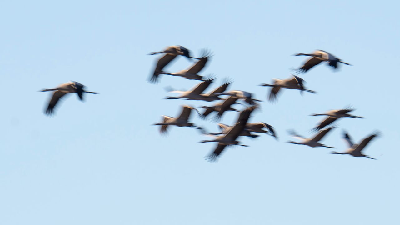 Probando velocidades lentas