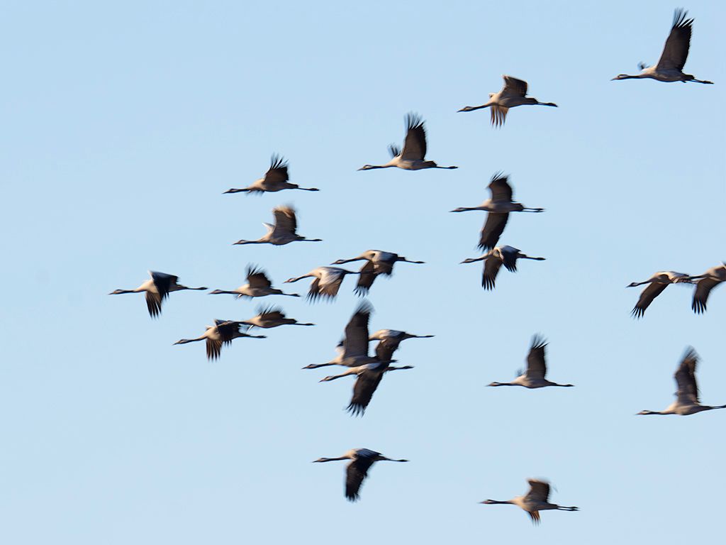 Probando velocidades lentas