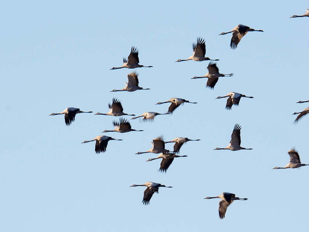 Probando velocidades lentas