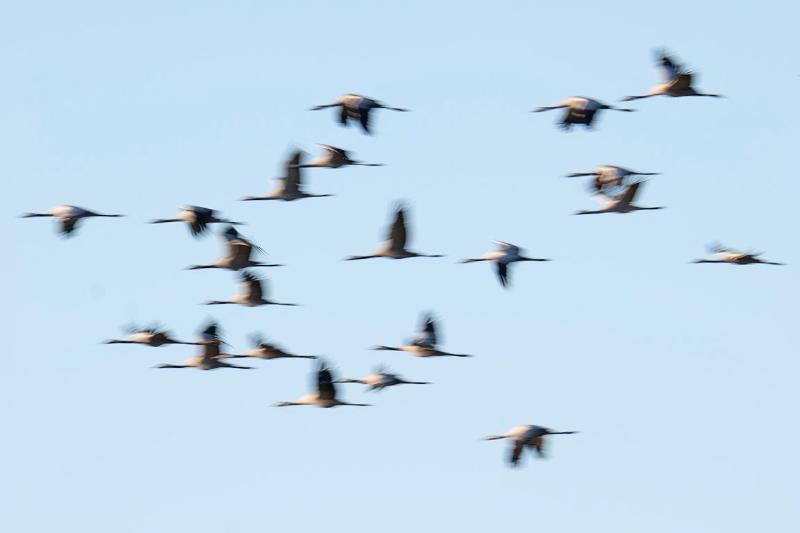 Probando velocidades lentas