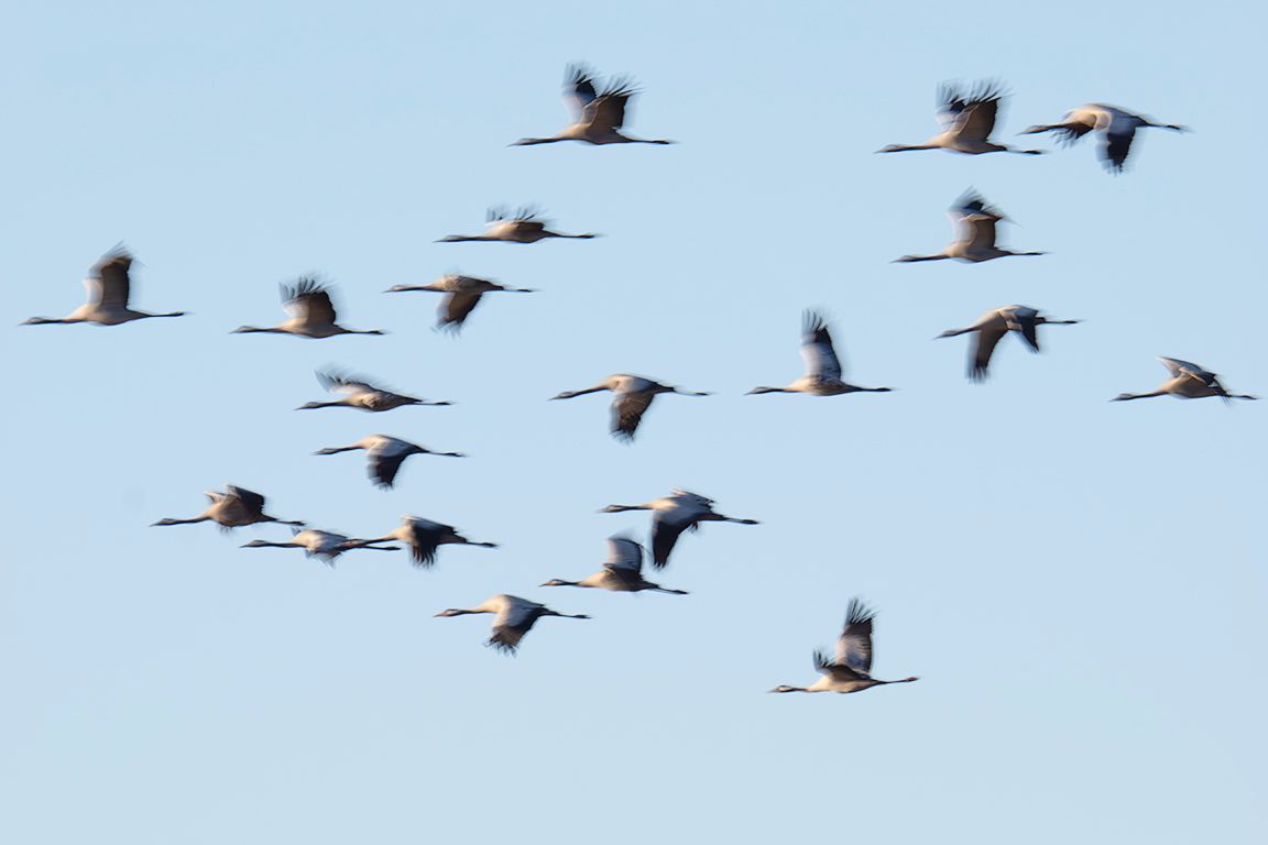 Probando velocidades lentas