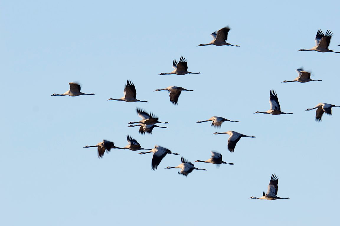 Probando velocidades lentas