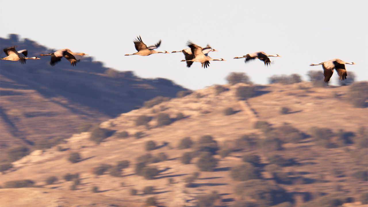 Probando velocidades lentas