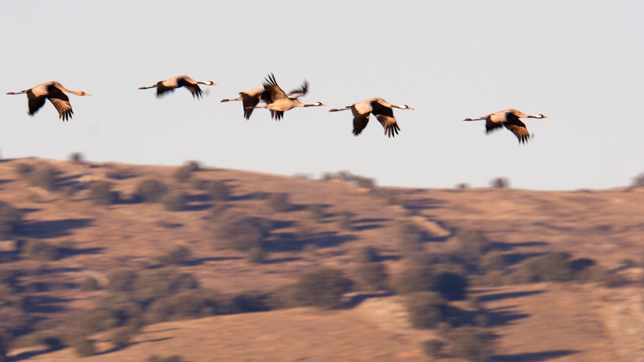 Probando velocidades lentas