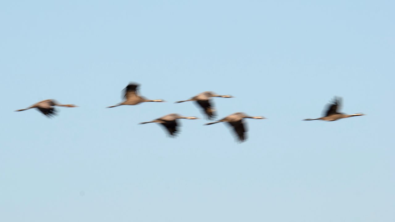Probando velocidades lentas