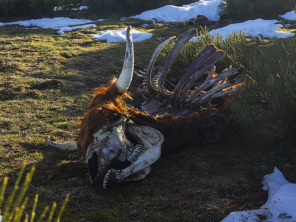 Peña negra, ene2018