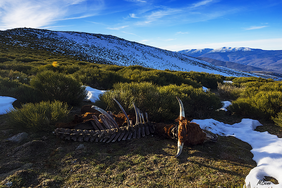 Peña negra, ene2018