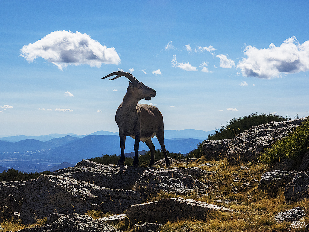 Asómate de Hoyos, sep2017