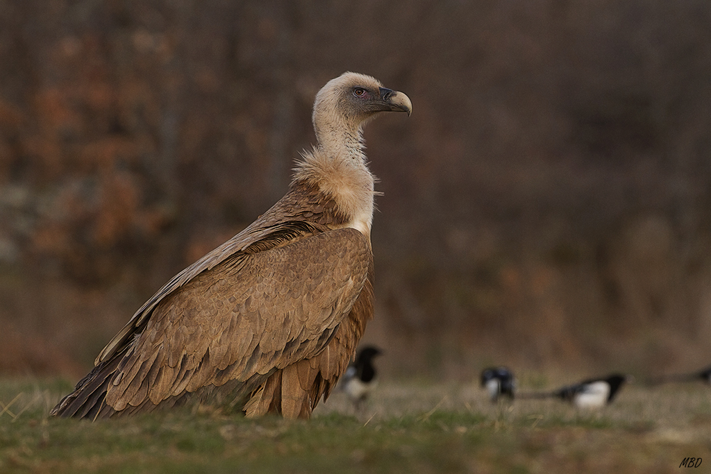 Calma tras la vorágine