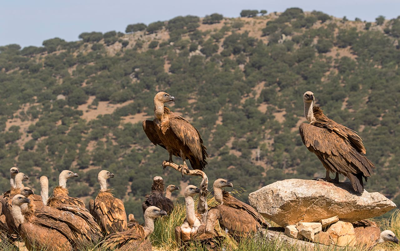 Poco a poco se calma la escena