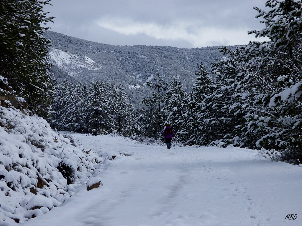 Ene2014. Solos, abriendo huella.