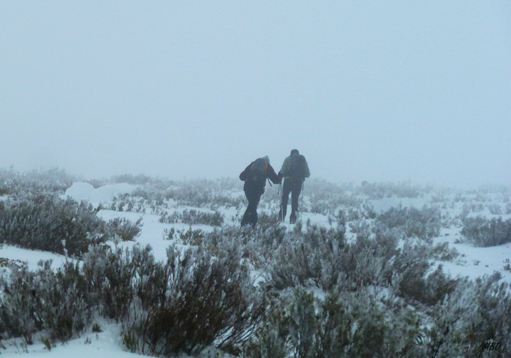 Ocejón, feb2014. Duro el día. 