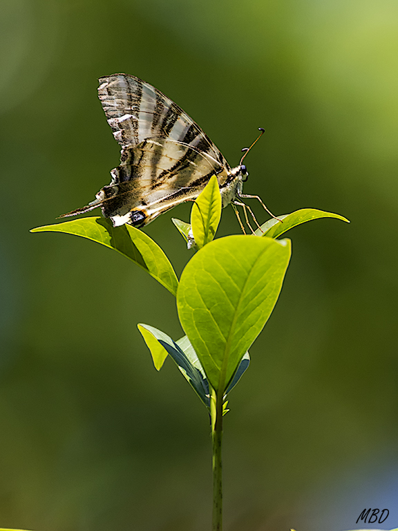 Tres Cantos, jul2017