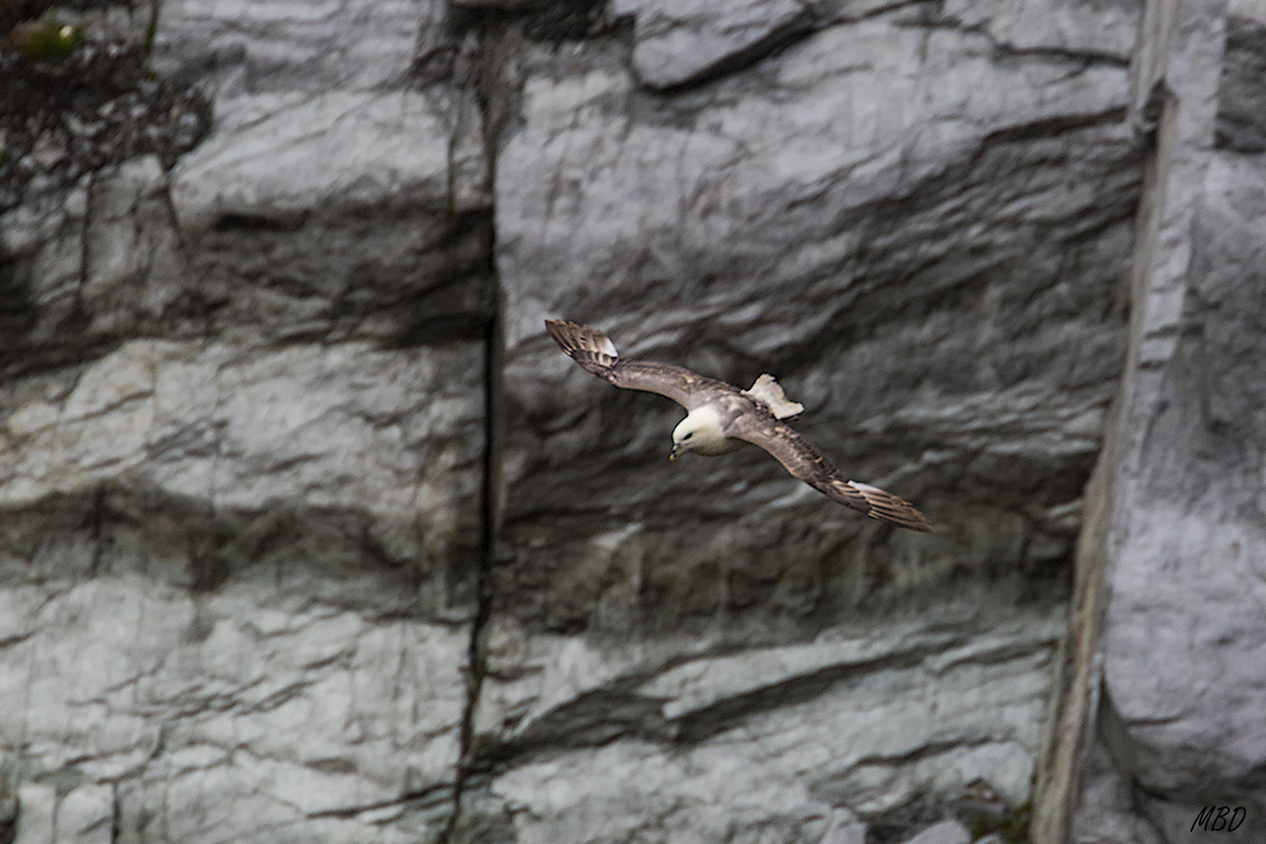 Ambientado en ese fondo rocoso
