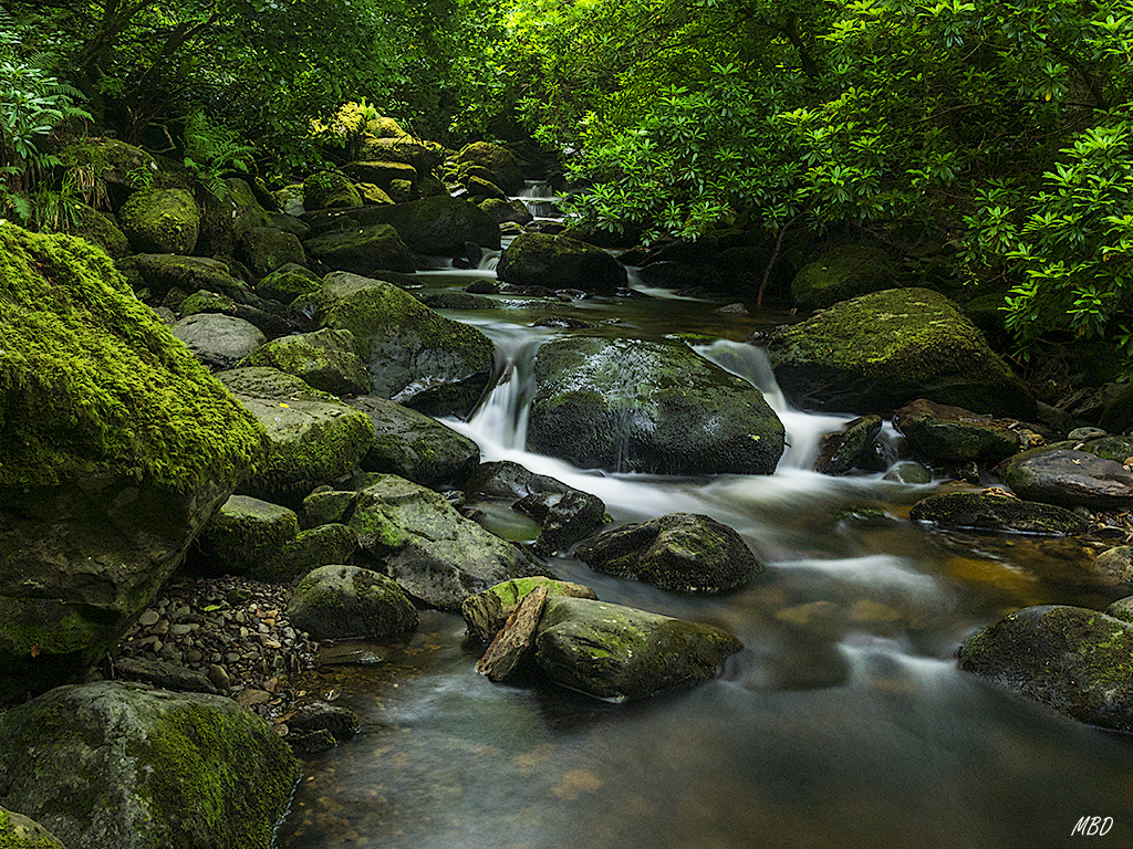 Killarney national park