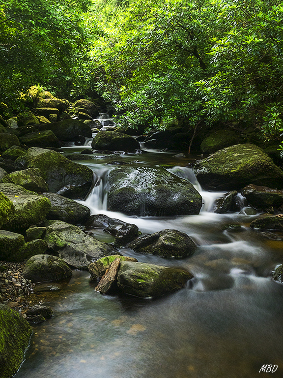 Killarney national park