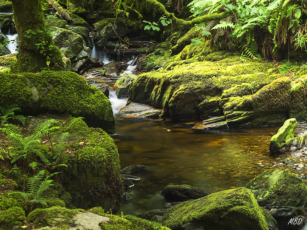 Killarney national park
