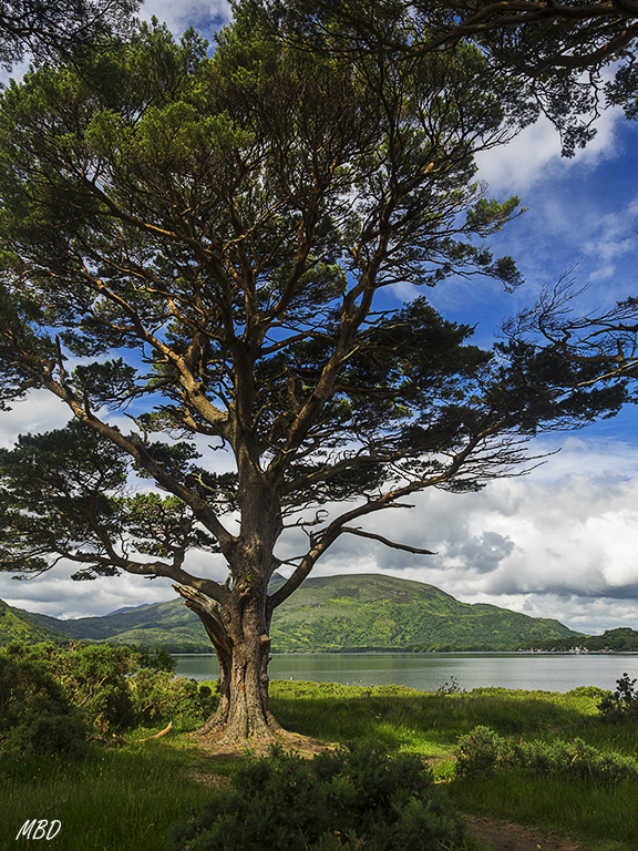 Killarney national park