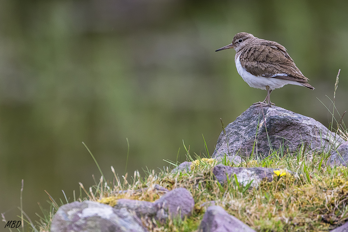 Killarney national park