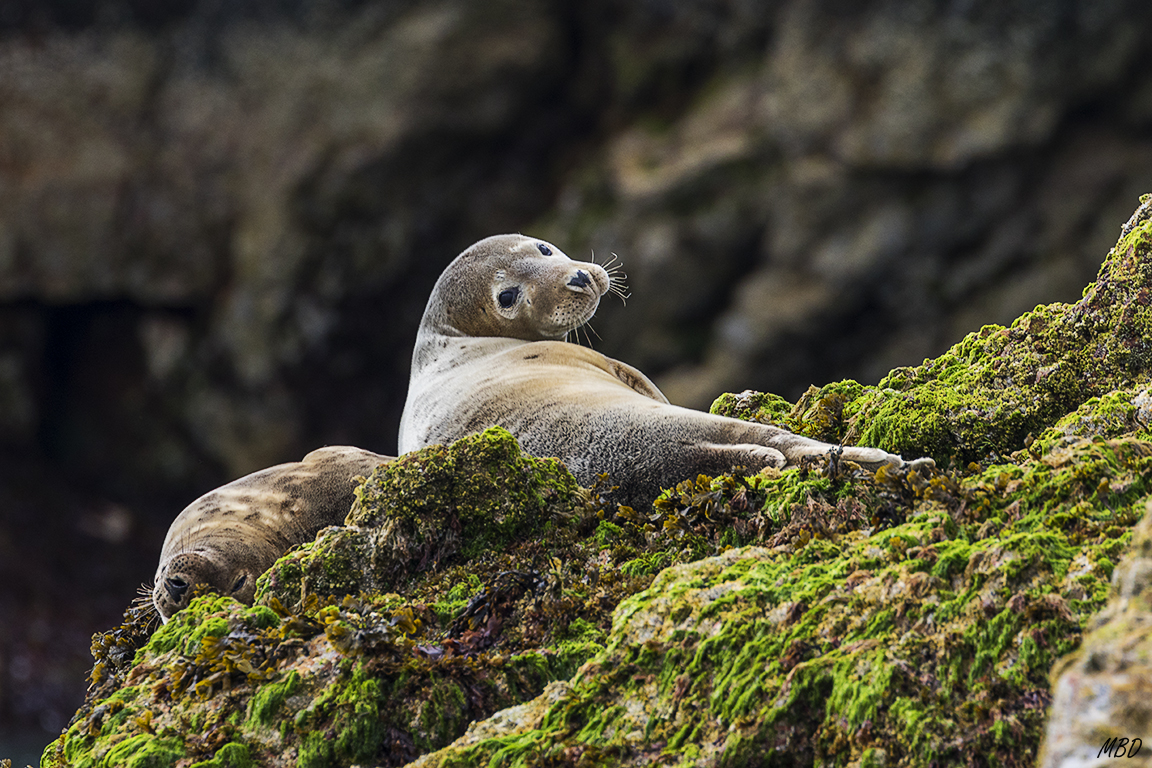 Nos reciben al llegar