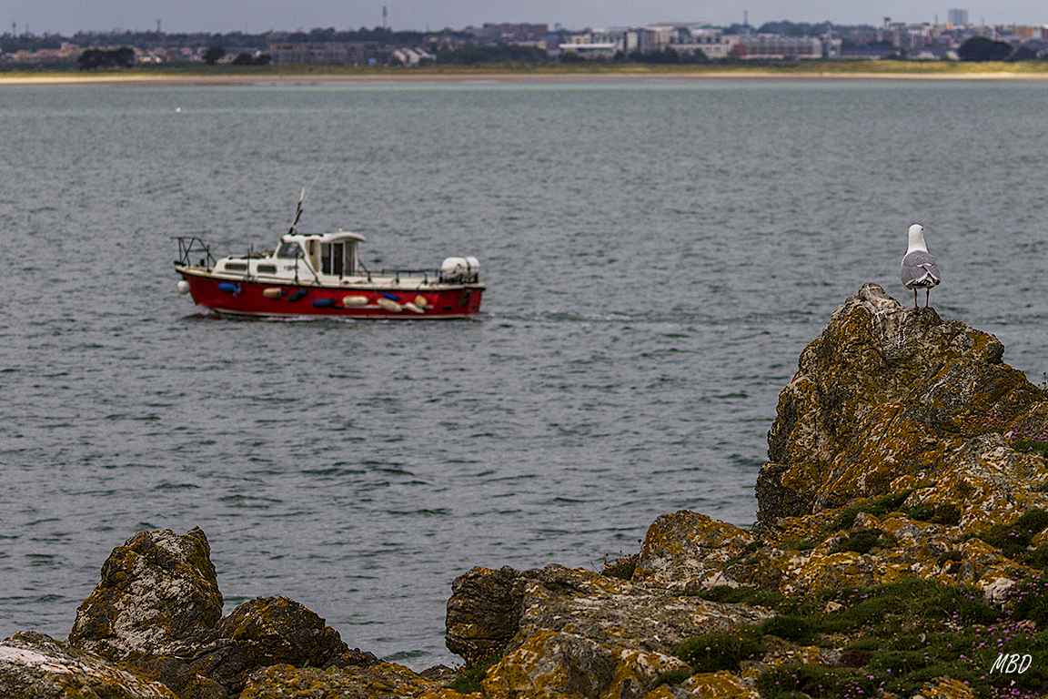 Mientras el barco se aleja