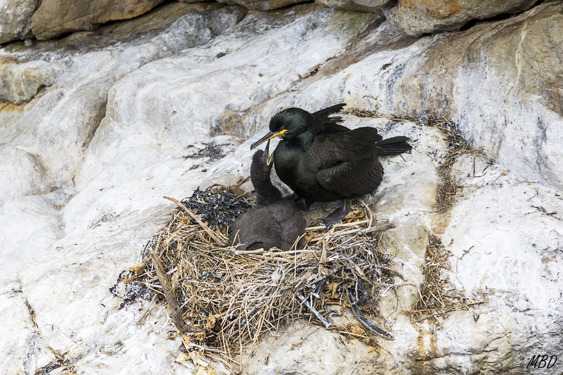 Siempre hambrientos y demandantes