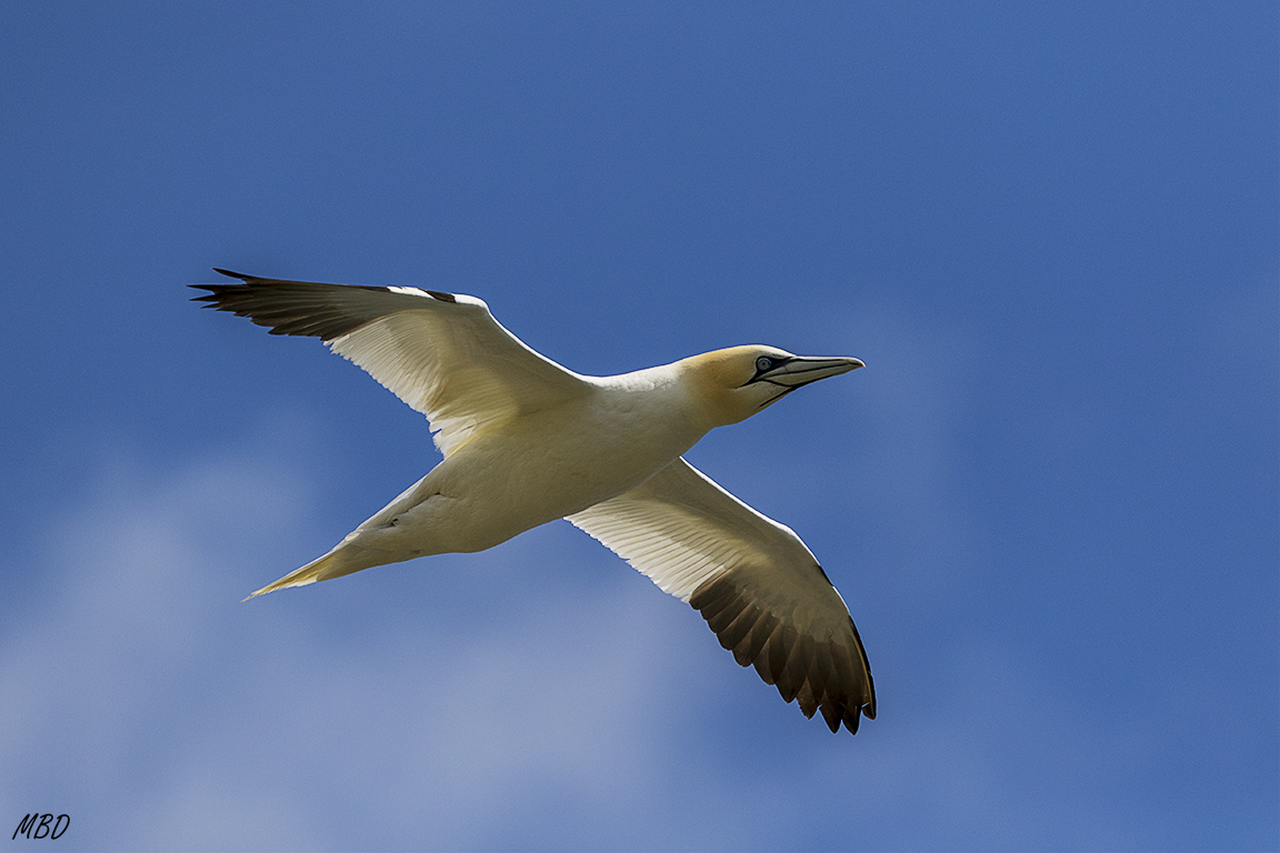 Cambiando la exposición casi en cada disparo!