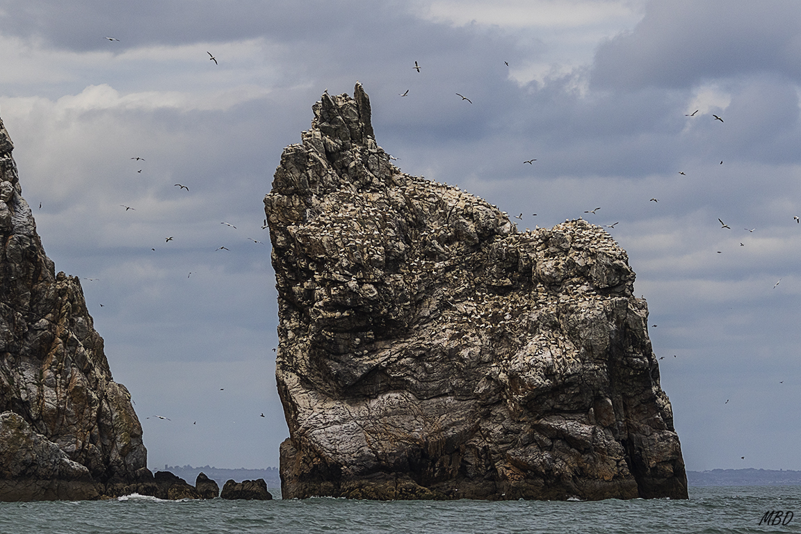 Vista desde el barco