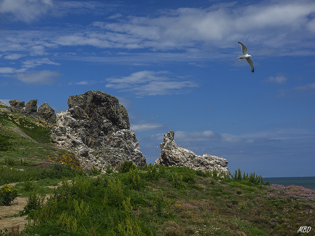 Vista desde el acantilado