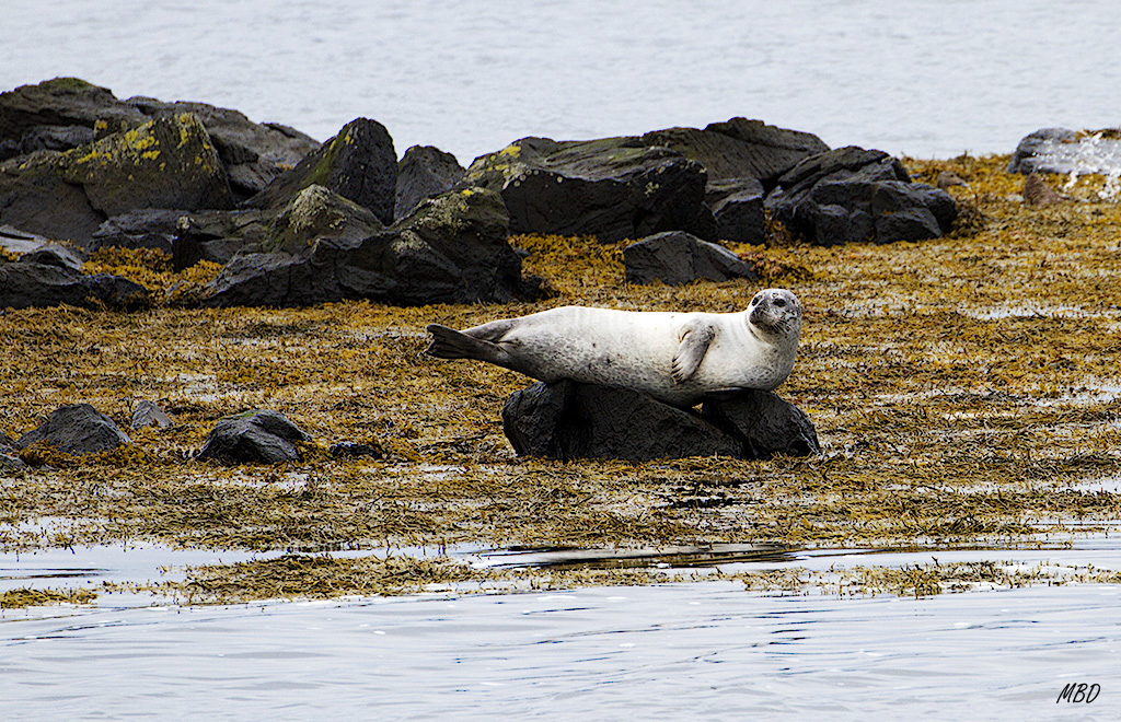 Recostada en las rocas.