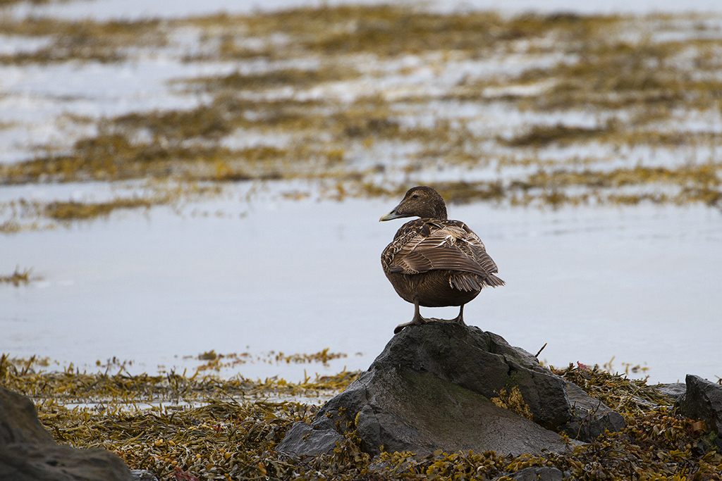 Controlándome con la mirada.
