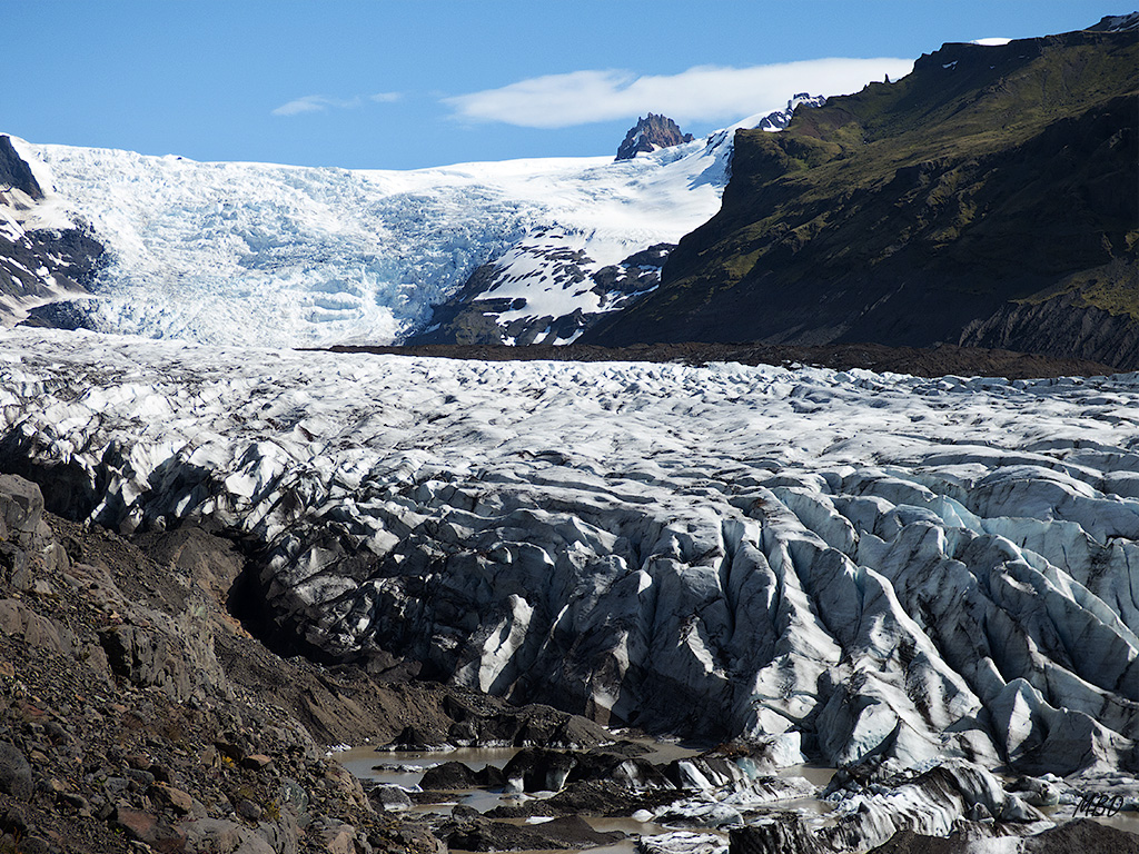 Lengua de graciar impresionante