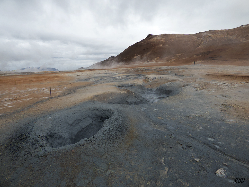 Impactante mezcla de tonalidades y aromas. Especial.