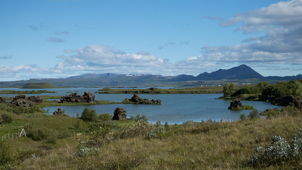 Agua, rocas, ánades, mosquitos...
