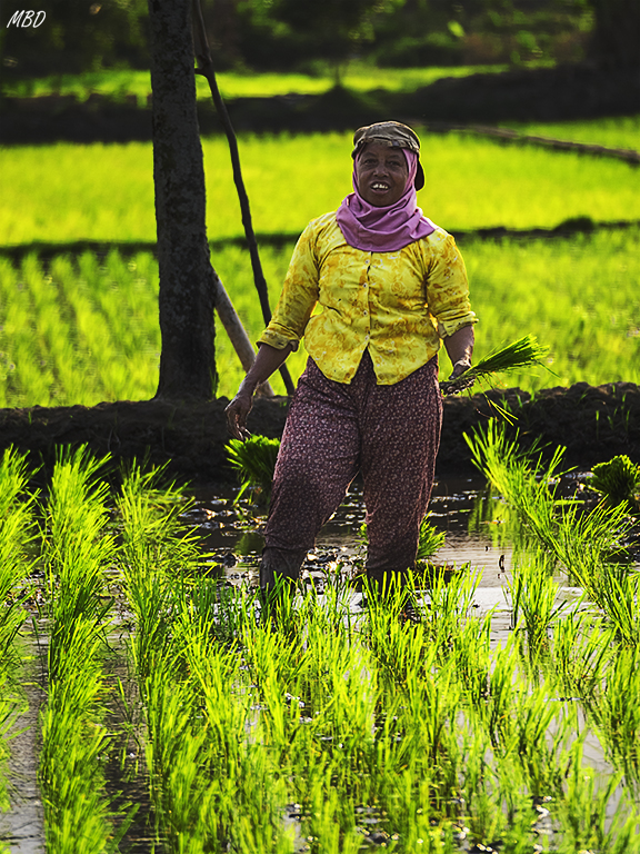 Sólo pequeños descansos para enderezar la espalda