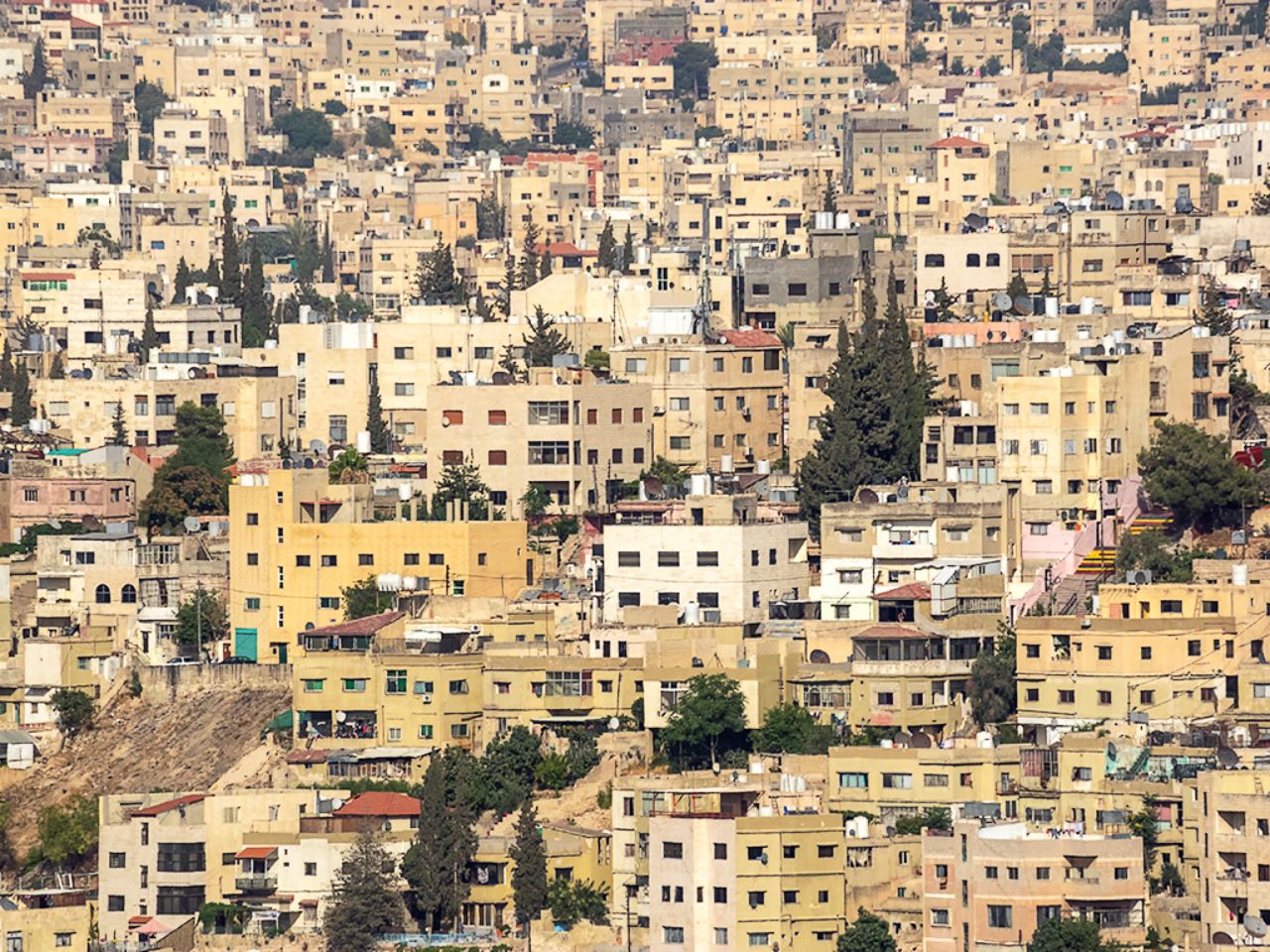 Las casas se hacinan en las siete colinas