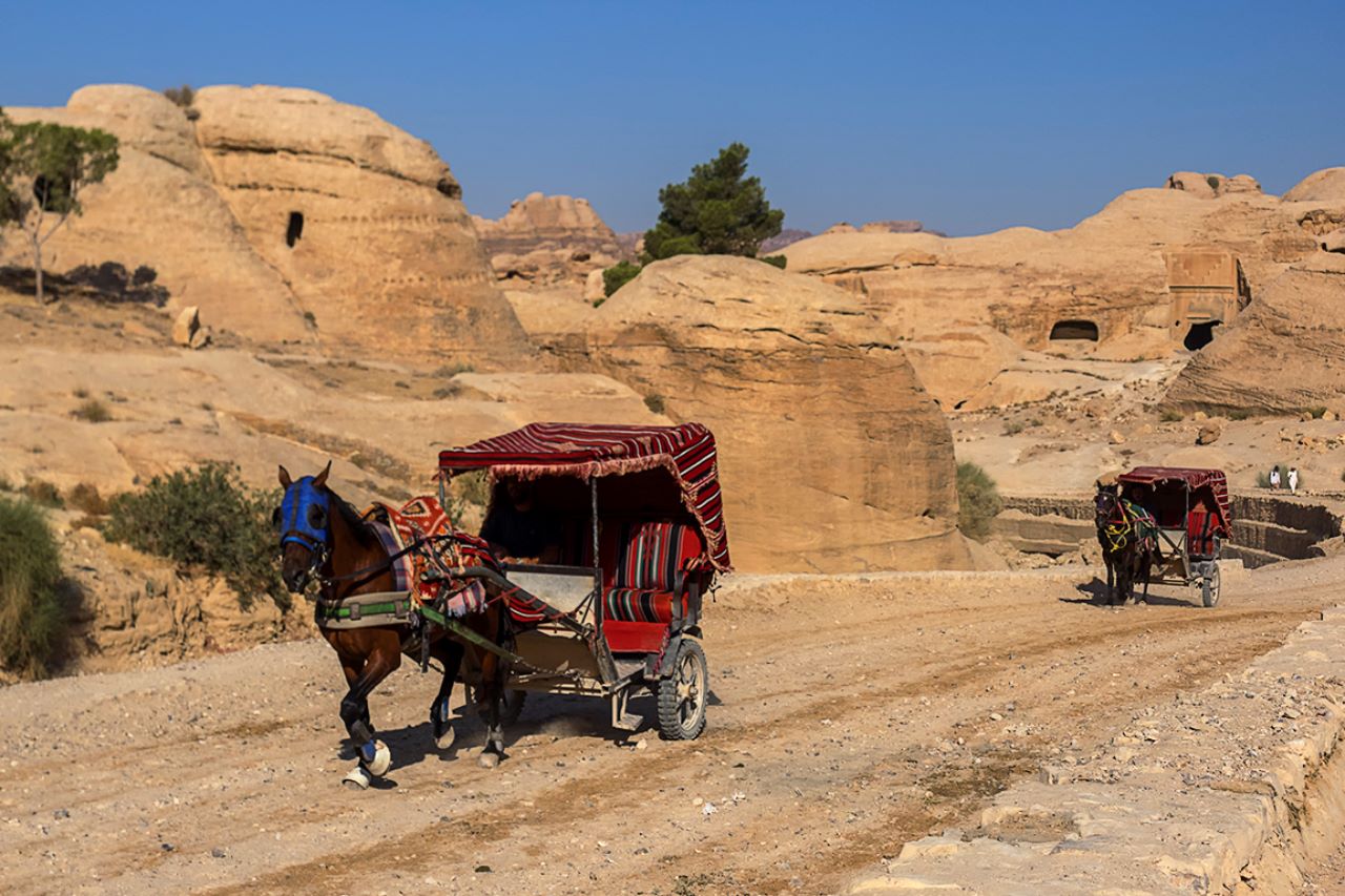 Calesas para turistas