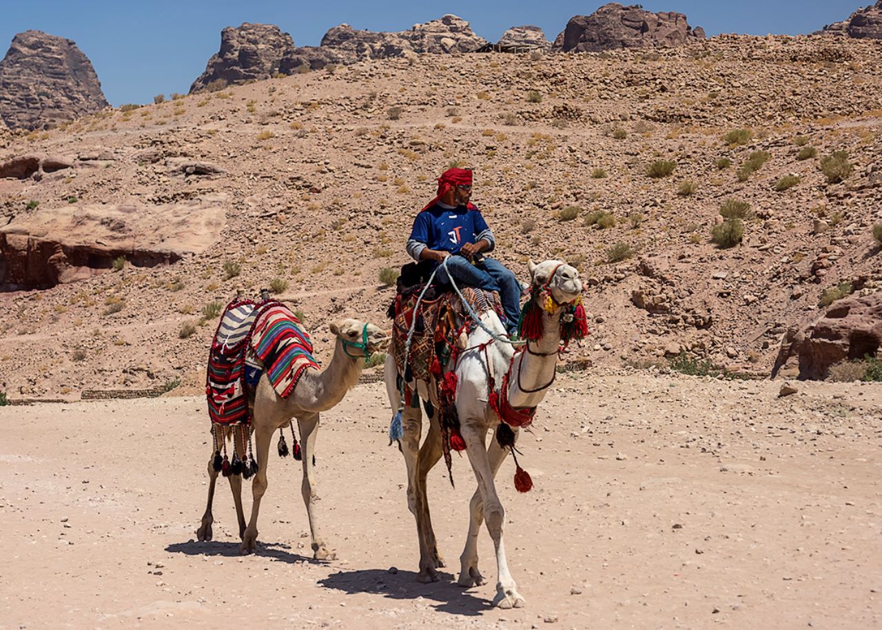 Beduino y dromedarios