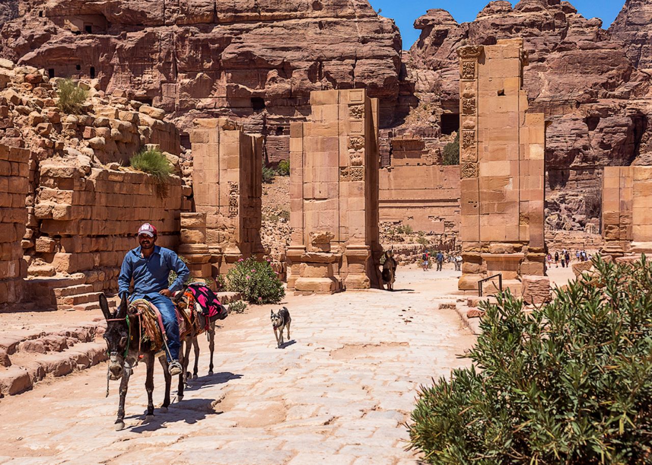 Los hacen trabajar demasiado