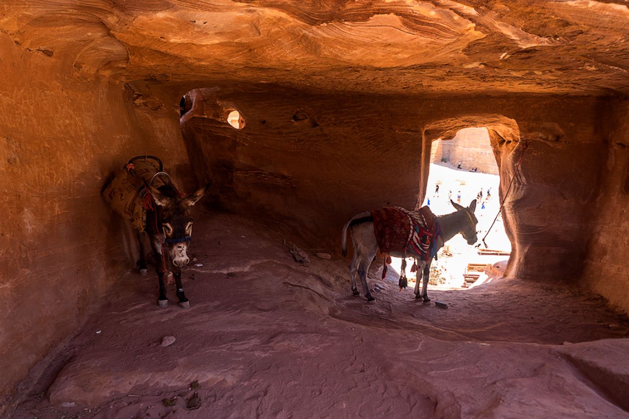 Excavación y cuadra improvisada