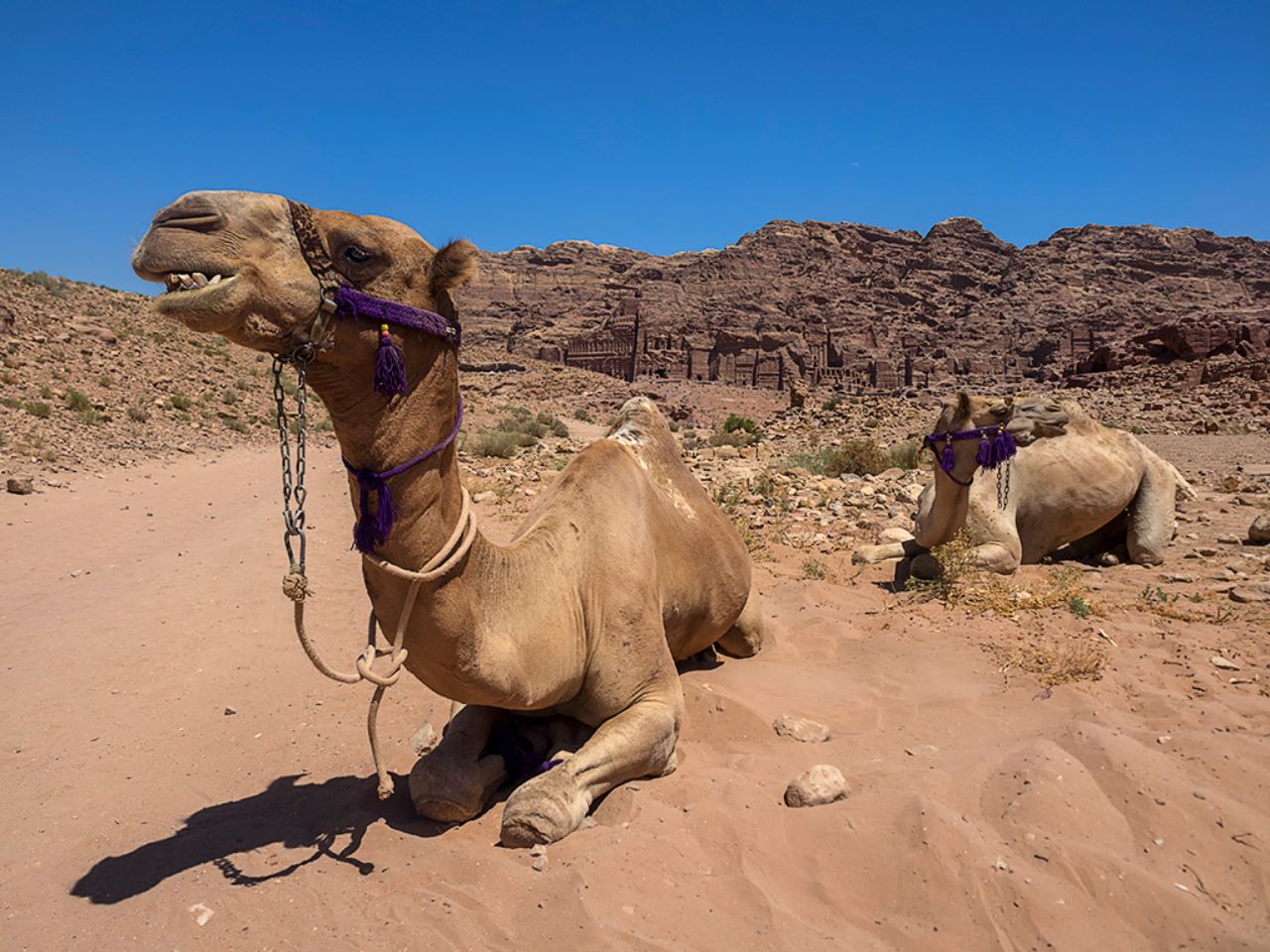 Las timbas reales al fondo