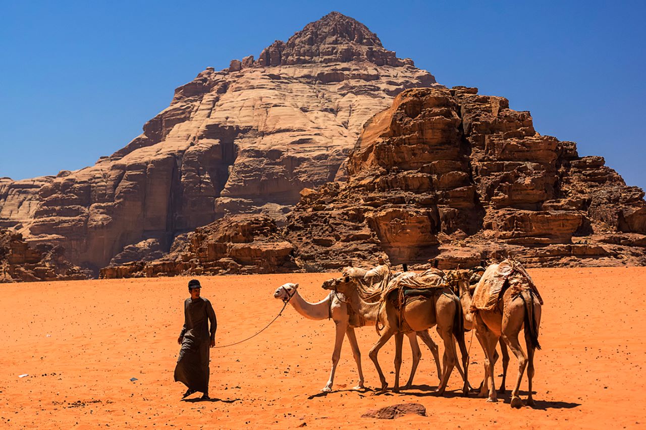 Dromedarios y beduinos