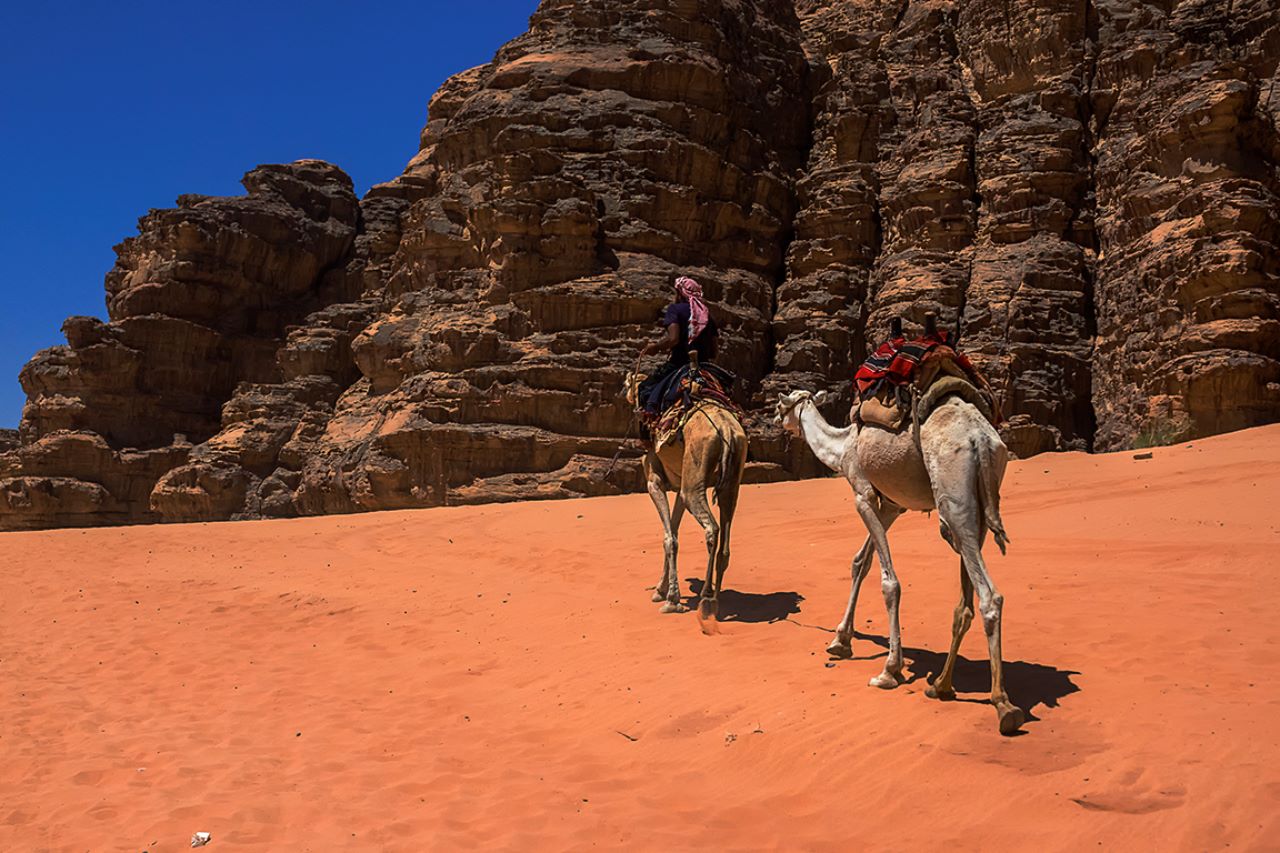 Dromedarios y beduinos