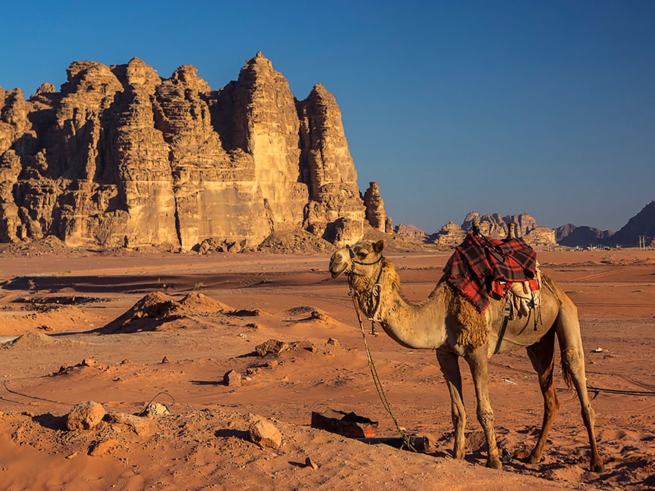 La mañana en el campamento