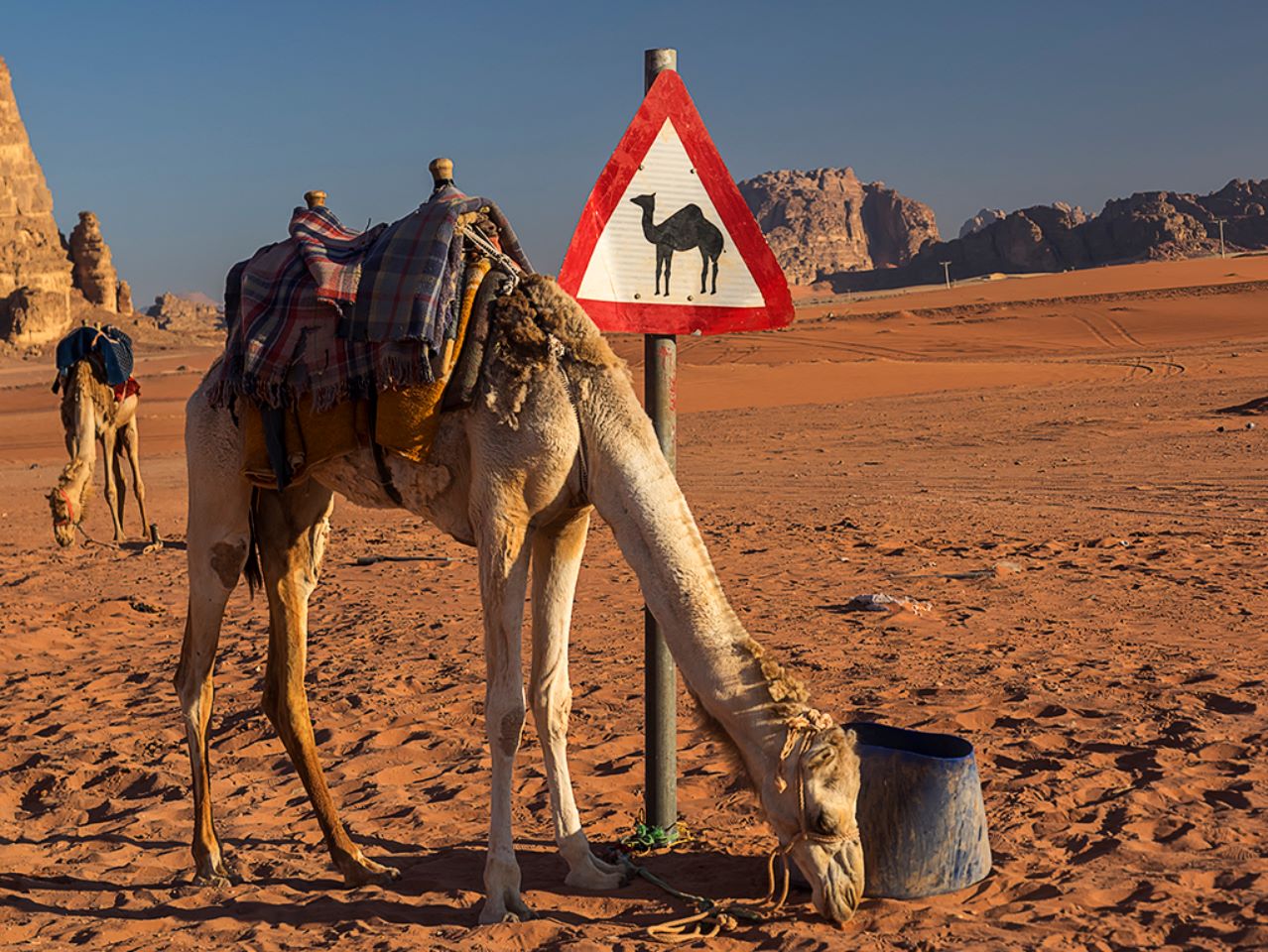 La mañana en el campamento