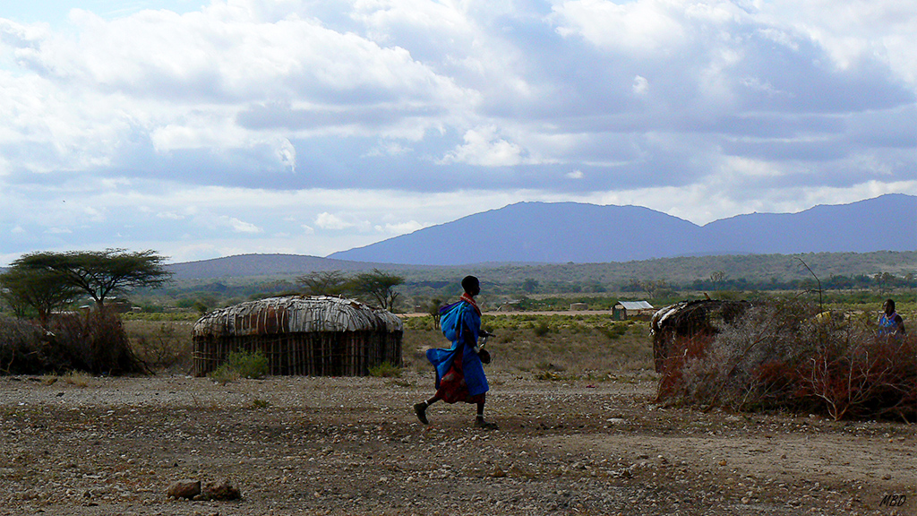 Cabañas tradicionales.