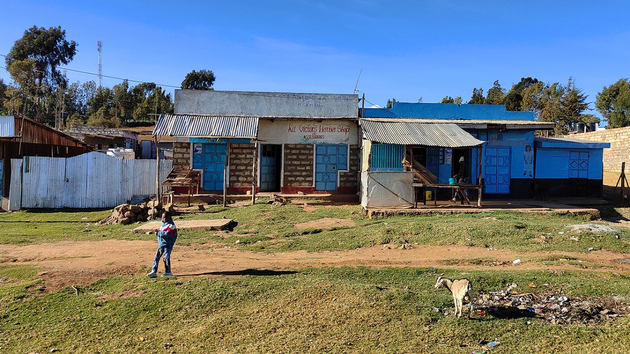 Cabras y tiendas precarias