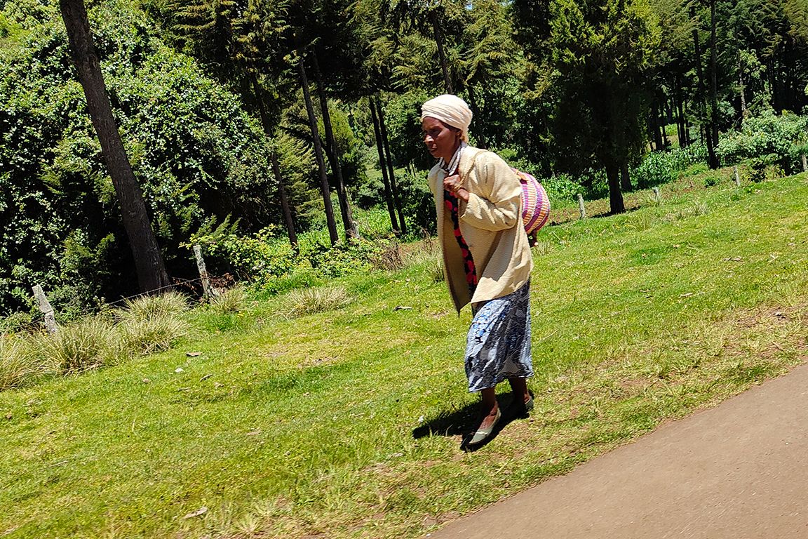 Deambulando por la carretera