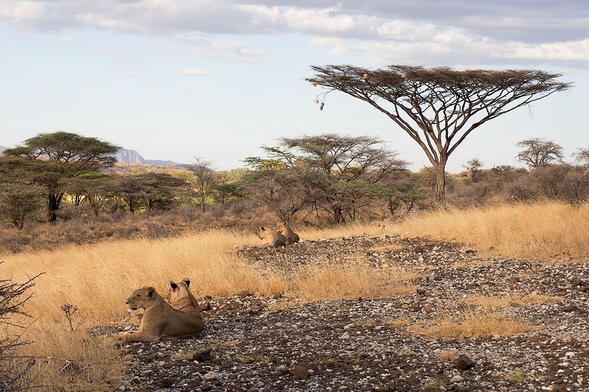 Integrados en el paisaje