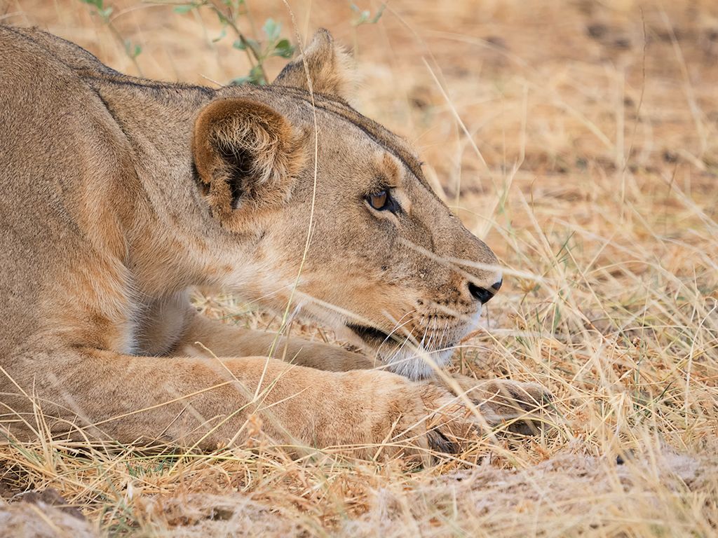 Momentos de espera, atenta a lo que se mueva